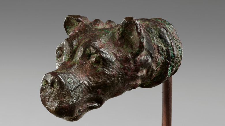 A bust of a Molossian hound.