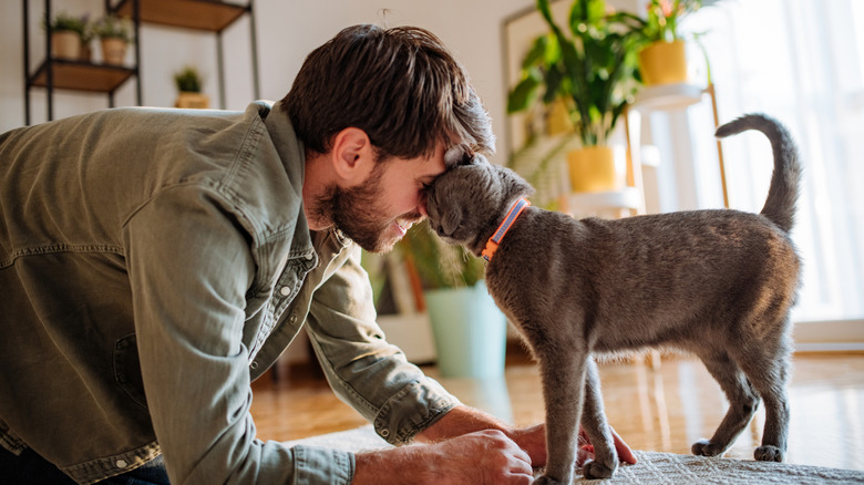 man and cat affectionately head bumping