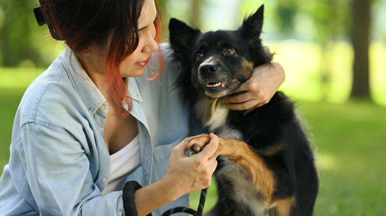 A woman holds a collie dog's paws in a grassy park