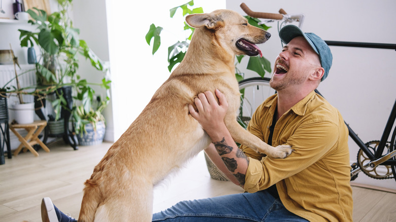 A man plays with a dog while sitting on the floor