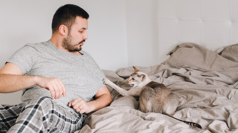 An upset cat paws at a man's shirt as they lie in bed