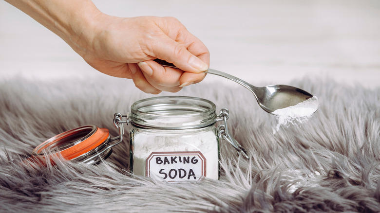 Hand holds spoon sprinkling baking soda on carpet