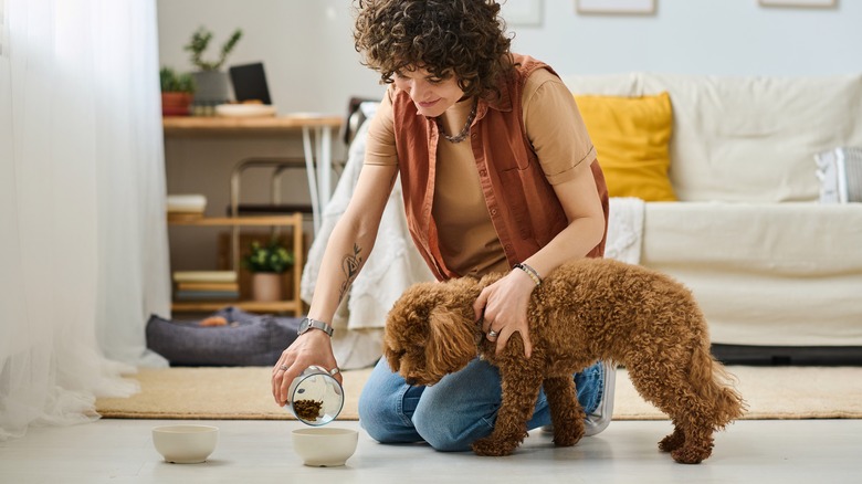 woman feeding dog