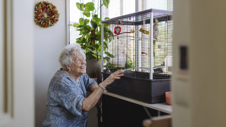 lady looking at bird in cage