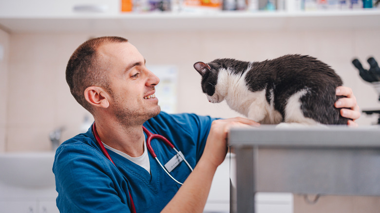 veterinarian smiling at cat