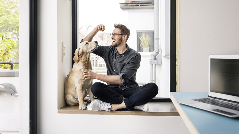 man teaching dog to sit