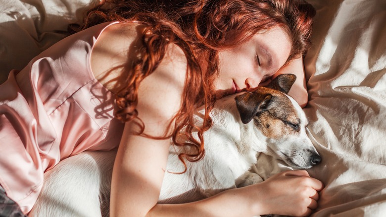 dog sleeping with their human