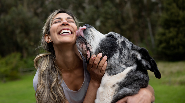 dog licking woman's face