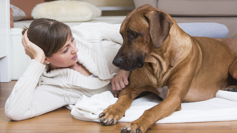 woman looking in dog's eyes