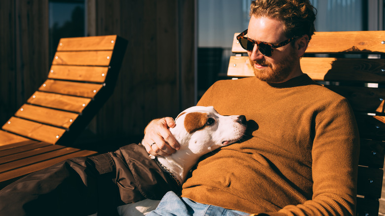 dog on person's lap