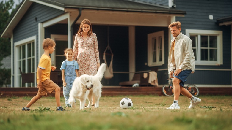 family playing with dog