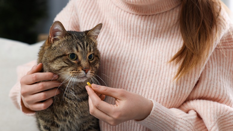 woman about to give pill to cat