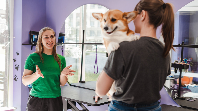 A tall woman in a T-shirt walks toward another smiling woman in a T-shirt, carrying a corgi