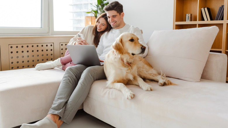 A man, a woman, and a well-groomed golden retriever all sit on a couch together