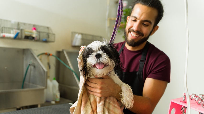 A male groomer towel-drying a happy, freshly bathed dog