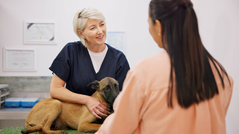 a veterinarian speaks to a client while holding the client's dog