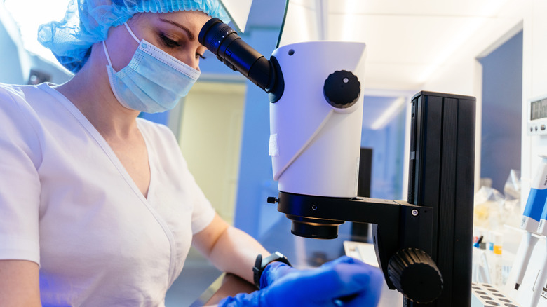 a veterinary researcher at a microscope in a laboratory setting