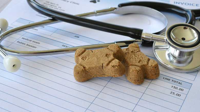 a veterinary clinic invoice, with a stethoscope and dog treats on it