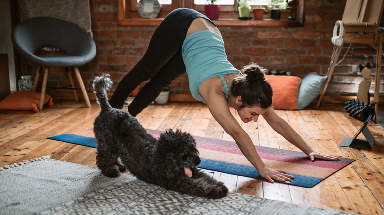 A black dog doing yoga with its pet parent