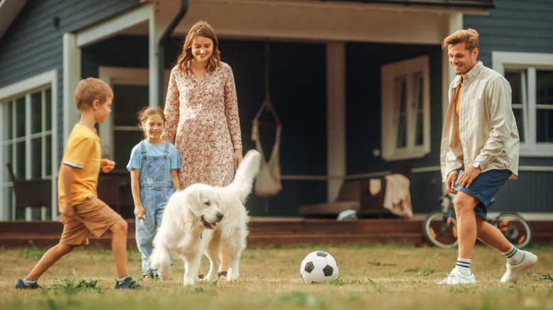 Family playing with a dog and ball in backyard