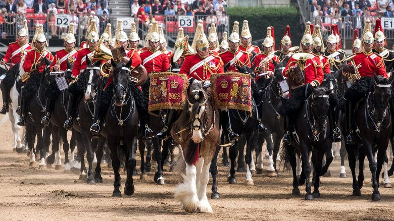 A drum horse leading other horses in a military procession