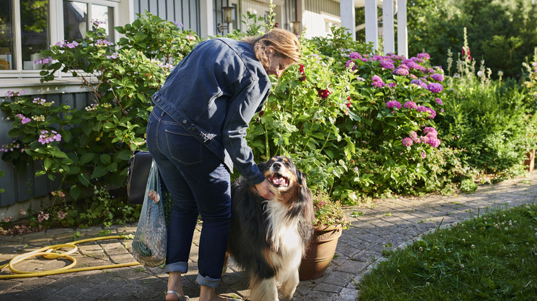 A woman greets her dog in a backyard full of colorful flowers