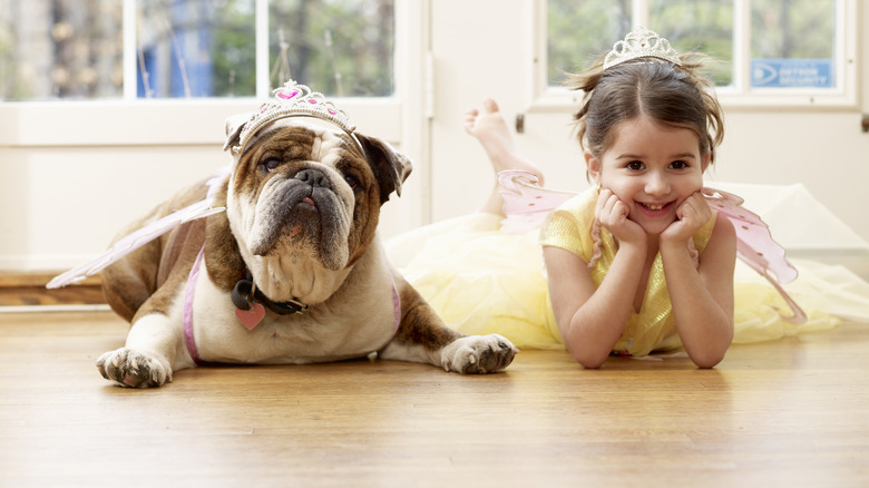 bulldog laying with child