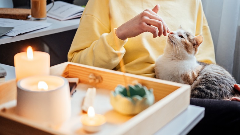 cat sits on owner's lap with candles burning nearby