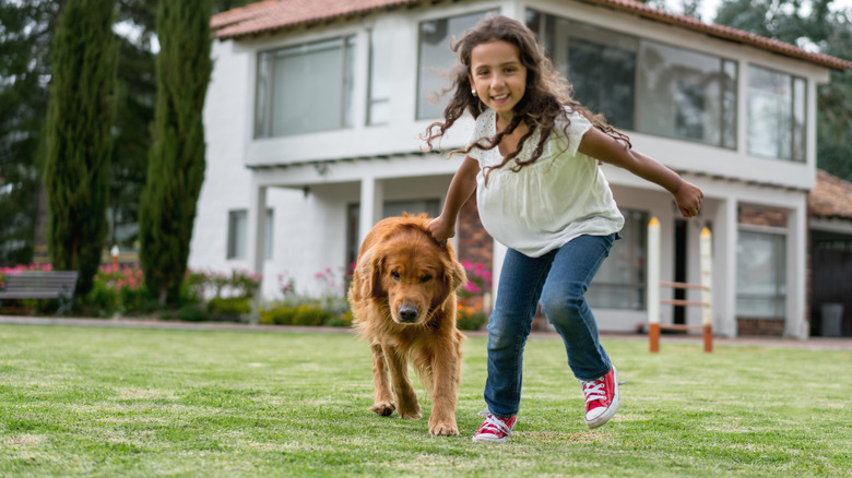 Child with golden retriever