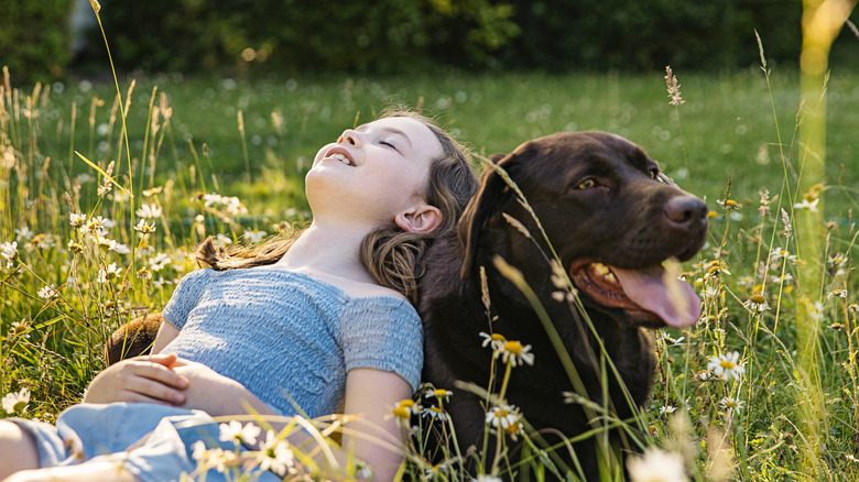 A little girl lays with her chocolate Labrador retriever