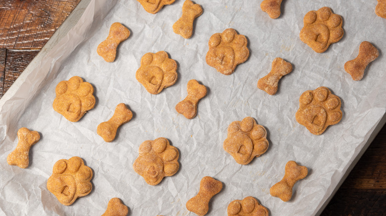 homemade dog treats on baking tray