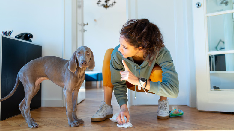 woman telling puppy to stay away while she cleans with wipes