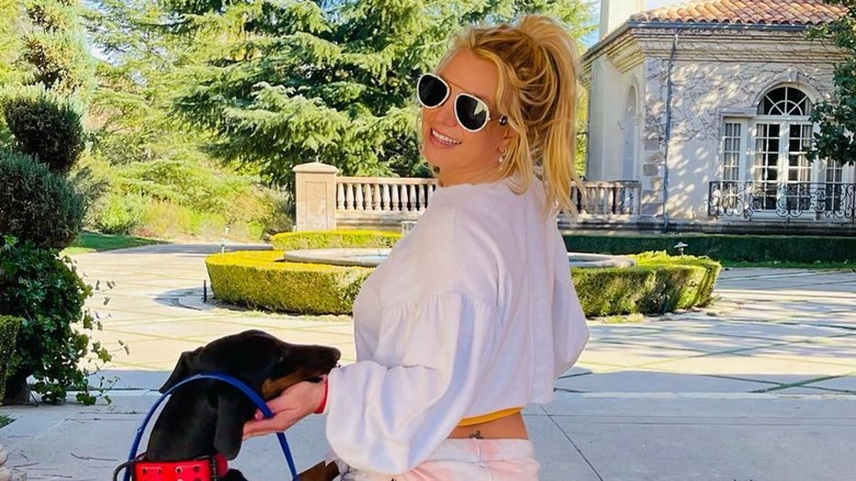 Britney Spears with her Doberman Pincher which she lost in the divorce settlement with Sam Asghari