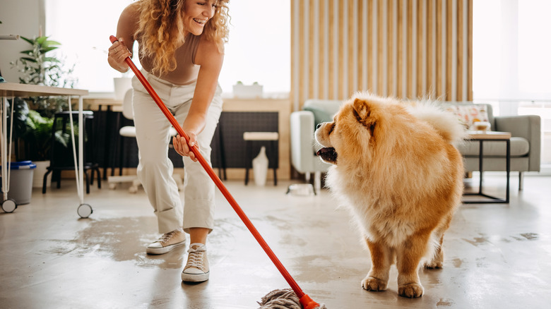 A woman mops with her Chow Chow