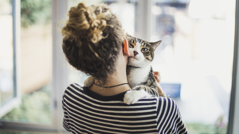 A cat being held by its owner.