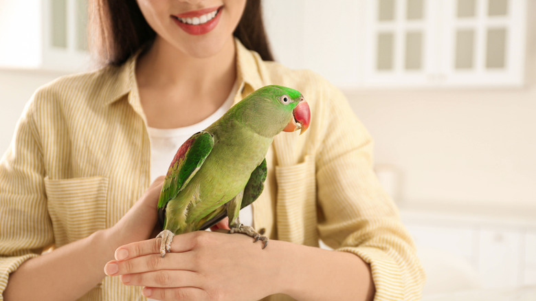 Parrot perched on woman's hand