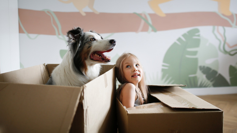 An Australian shepherd sits in a cardboard box alongside a blonde girl