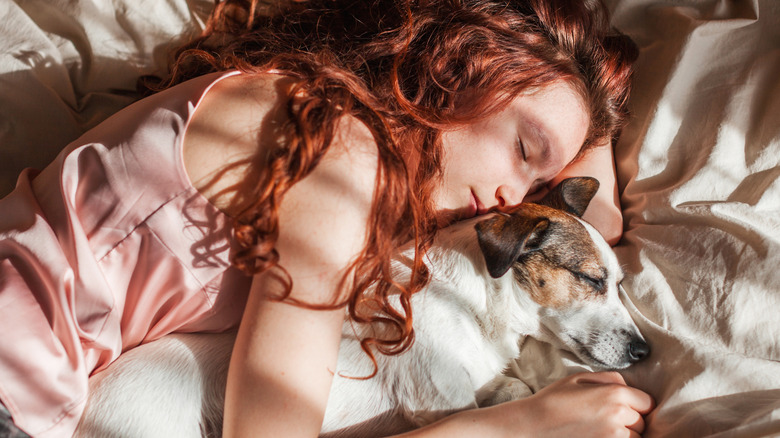 A red-haired girl sleeping with a terrier in bed