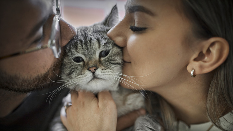 Two people kiss a gray cat on either side of their head