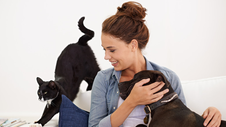 cat and dog surround smiling woman on furniture