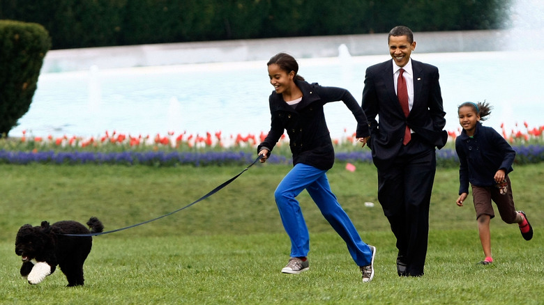 Obama family running with Bo on the White House lawn