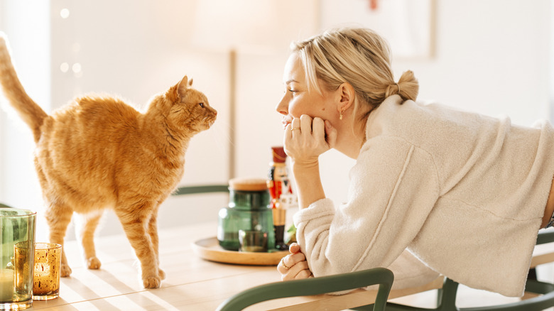 A woman looks at a cat on a table