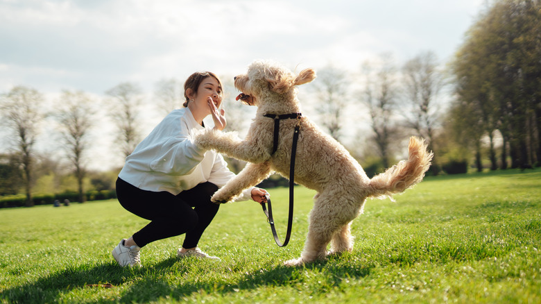 dog jumping on human in field