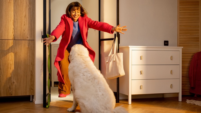 Dog owner about to hug dog upon walking through front door