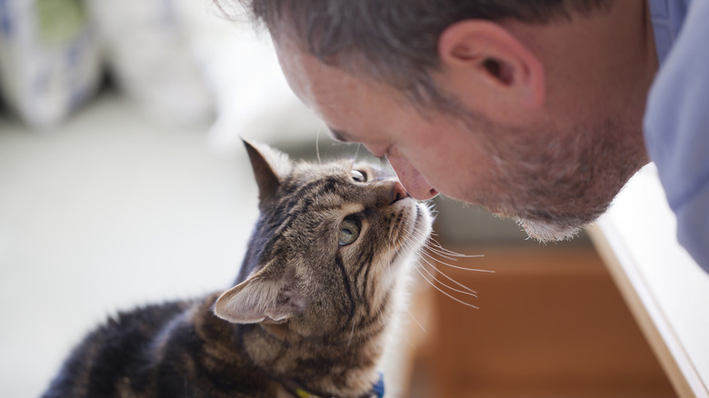 A man touches noses with his cat