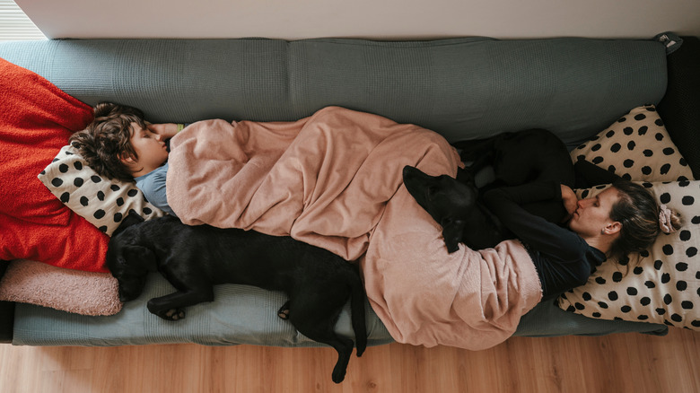 A mother and child sleep on the couch with two black dogs