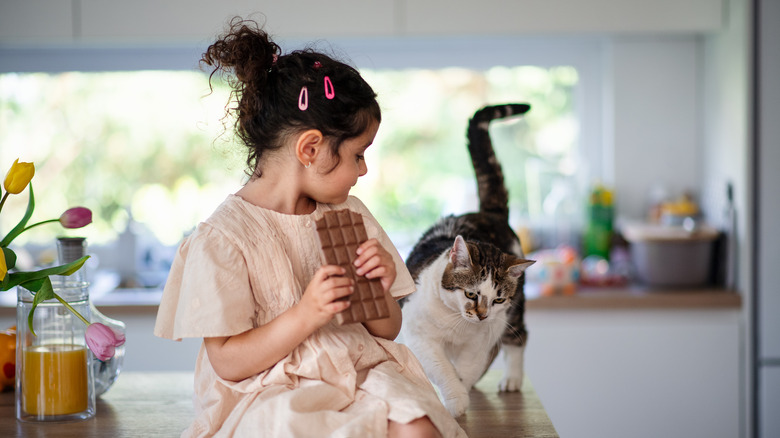 Cat approaching girl with chocolate