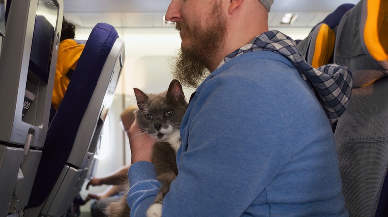 A man holds a cat while seated on an airplane