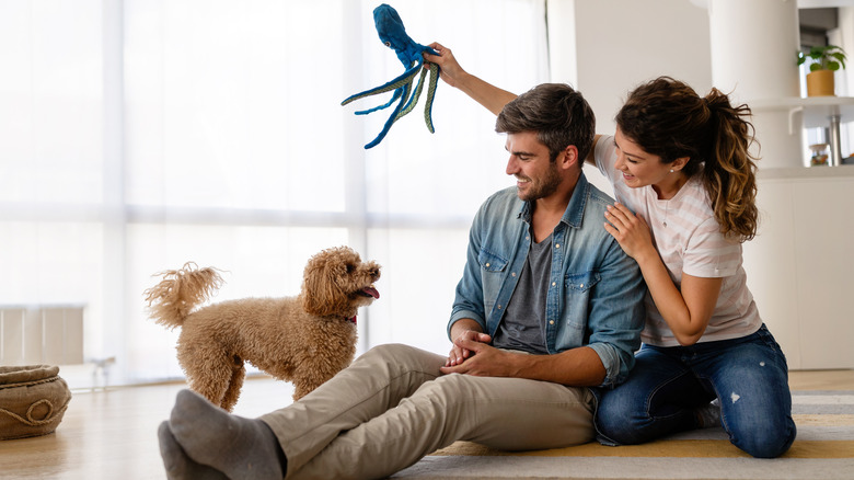 Happy couple playing with dog in new home