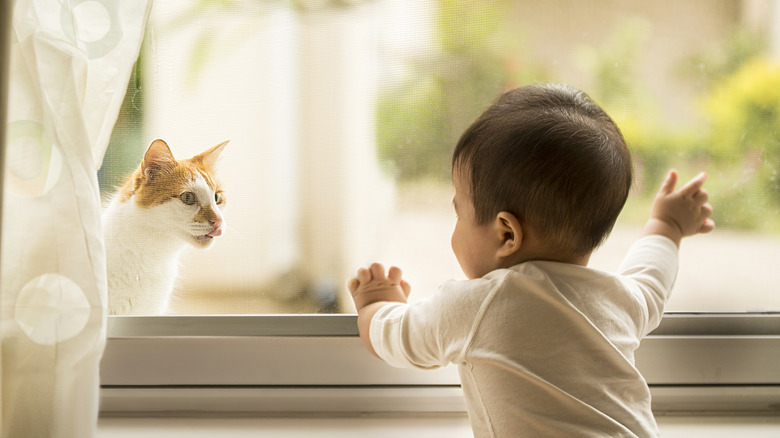 toddler and cat staring at each other through a window